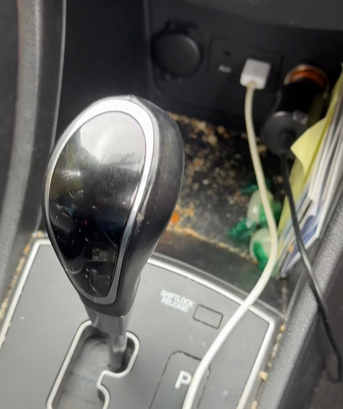 Interior detail stain remover car